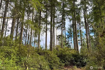 5011 E Rasor Road, Belfair, WA 98528 - Photo 9
