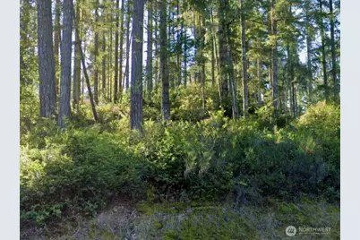 5011 E Rasor Road, Belfair, WA 98528 - Photo 3