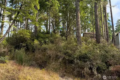 5011 E Rasor Road, Belfair, WA 98528 - Photo 29