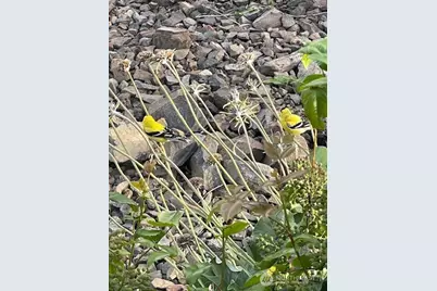 2312 Canyon Hills Drive, East Wenatchee, WA 98802 - Photo 33