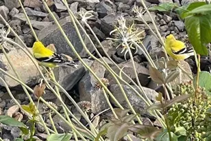 2312 Canyon Hills Dr, East Wenatchee, WA 98802 - Photo 33