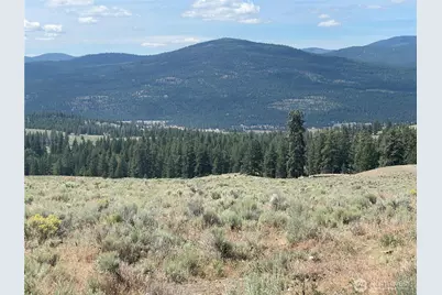 16 Breezy Lane, Tonasket, WA 98855 - Photo 23