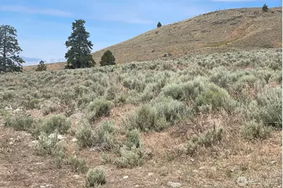 16 Breezy Lane, Tonasket, WA 98855 - Photo 15