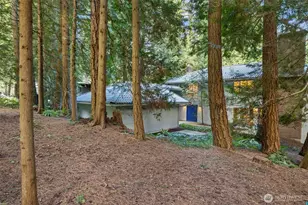 13619 NE 28th St, Bellevue, WA 98005 - Photo 31