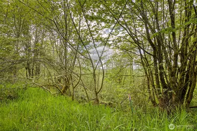 0 Elkhorn Lane, Quilcene, WA 98376 - Photo 9