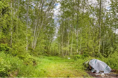 0 Elkhorn Lane, Quilcene, WA 98376 - Photo 7