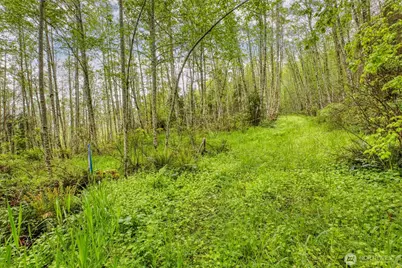 0 Elkhorn Lane, Quilcene, WA 98376 - Photo 15