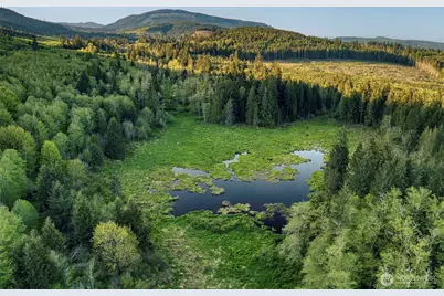 0 Elkhorn Lane, Quilcene, WA 98376 - Photo 5