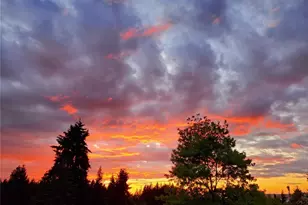 7407 180th St SW, Edmonds, WA 98026 - Photo 1