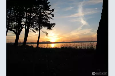 837 Cape Drive, Friday Harbor, WA 98250 - Photo 31