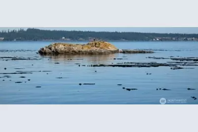 837 Cape Drive, Friday Harbor, WA 98250 - Photo 33