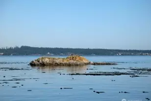 837 Cape Dr, Friday Harbor, WA 98250 - Photo 33