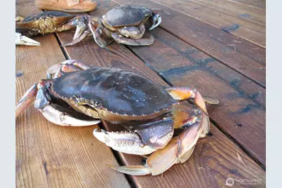 837 Cape Drive, Friday Harbor, WA 98250 - Photo 29