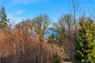 15726 220th St SE, Monroe, WA 98272 - Photo 31