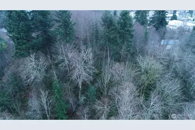 0 N 2nd St, Morton, WA 98572 - Photo 7