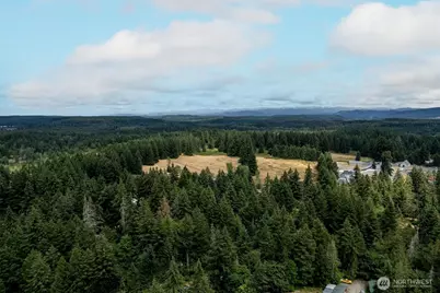 16228 Bald Hills Road SE, Yelm, WA 98597 - Photo 3