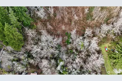 0 Grove Avenue, Raymond, WA 98577 - Photo 7