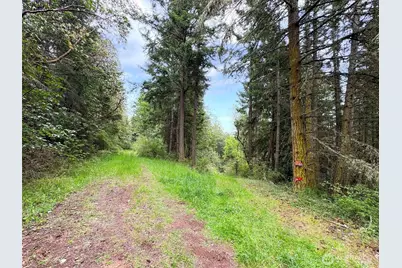 136 Discovery Crest Pl, Port Townsend, WA 98368 - Photo 5