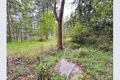 136 Discovery Crest Pl, Port Townsend, WA 98368 - Photo 9