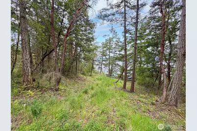 136 Discovery Crest Pl, Port Townsend, WA 98368 - Photo 11