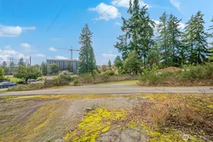 18804 10th Ave NE, Shoreline, WA 98155 - Photo 11