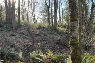 10411 238th St E, Graham, WA 98338 - Photo 23