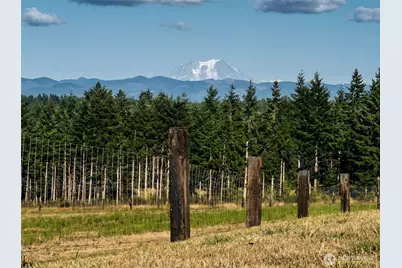 527 Tennessee Road, Winlock, WA 98596 - Photo 3