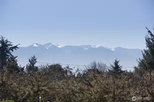 41 Victoria View St, Sequim, WA 98382 - Photo 29