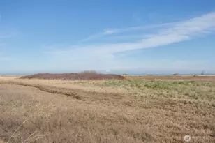 41 Victoria View St, Sequim, WA 98382 - Photo 31