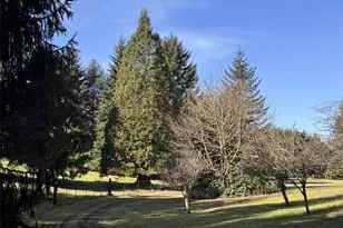 31822 NE 147th Pl, Duvall, WA 98019 - Photo 29