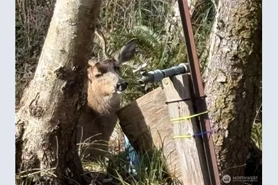 681 Duck Lake Drive NE, Ocean Shores, WA 98569 - Photo 7