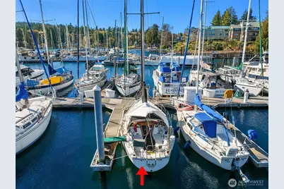 141 Parfitt Way SW #D31, Bainbridge Island, WA 98110 - Photo 3