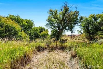 749 NE North Ave, Wilbur, WA 99185 - Photo 39