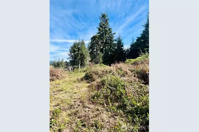 26 Lynn Point Lane, South Bend, WA 98586 - Photo 17