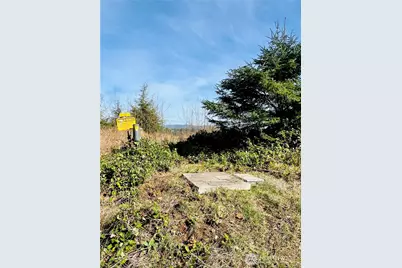 26 Lynn Point Lane, South Bend, WA 98586 - Photo 15