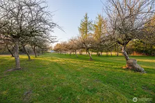 38431 147th St SE, Gold Bar, WA 98251 - Photo 23