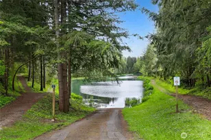 22419 Bluewater Dr SE, Yelm, WA 98597 - Photo 31