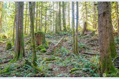 450 Mt Jupiter Pl, Hoodsport, WA 98548 - Photo 7