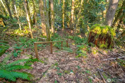 450 Mt Jupiter Pl, Hoodsport, WA 98548 - Photo 5