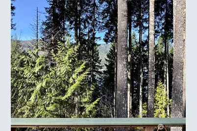 70 N Rim View Place, Hoodsport, WA 98548 - Photo 3