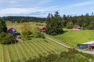 472 Redtail Ln, Lopez Island, WA 98261 - Photo 39