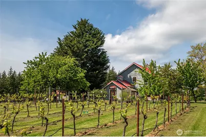 472 Redtail Lane, Lopez Island, WA 98261 - Photo 23