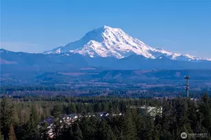 19047 130th St E, Bonney Lake, WA 98391 - Photo 39