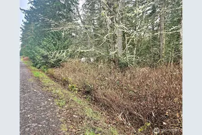 4 Nka W Go Onna Drive, Quilcene, WA 98376 - Photo 3