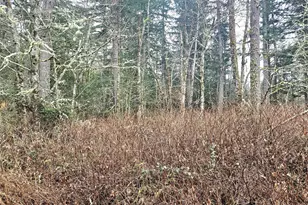 4 Nka W Go Onna Dr, Quilcene, WA 98376 - Photo 1