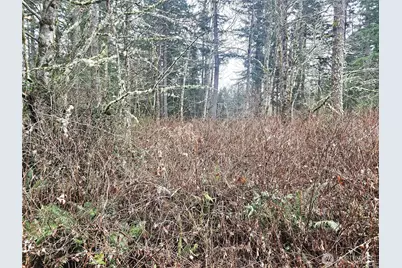 4 Nka W Go Onna Drive, Quilcene, WA 98376 - Photo 5