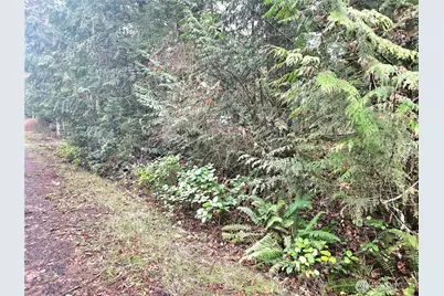 4 Nka W Go Onna Drive, Quilcene, WA 98376 - Photo 7