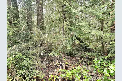 3 Nka W Go Onna Drive, Quilcene, WA 98376 - Photo 5