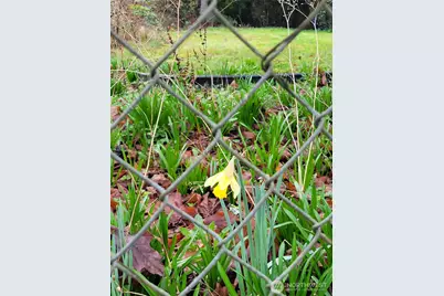 19424 Winesap Road, Bothell, WA 98012 - Photo 3