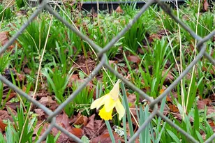 19424 Winesap Rd, Bothell, WA 98012 - Photo 3